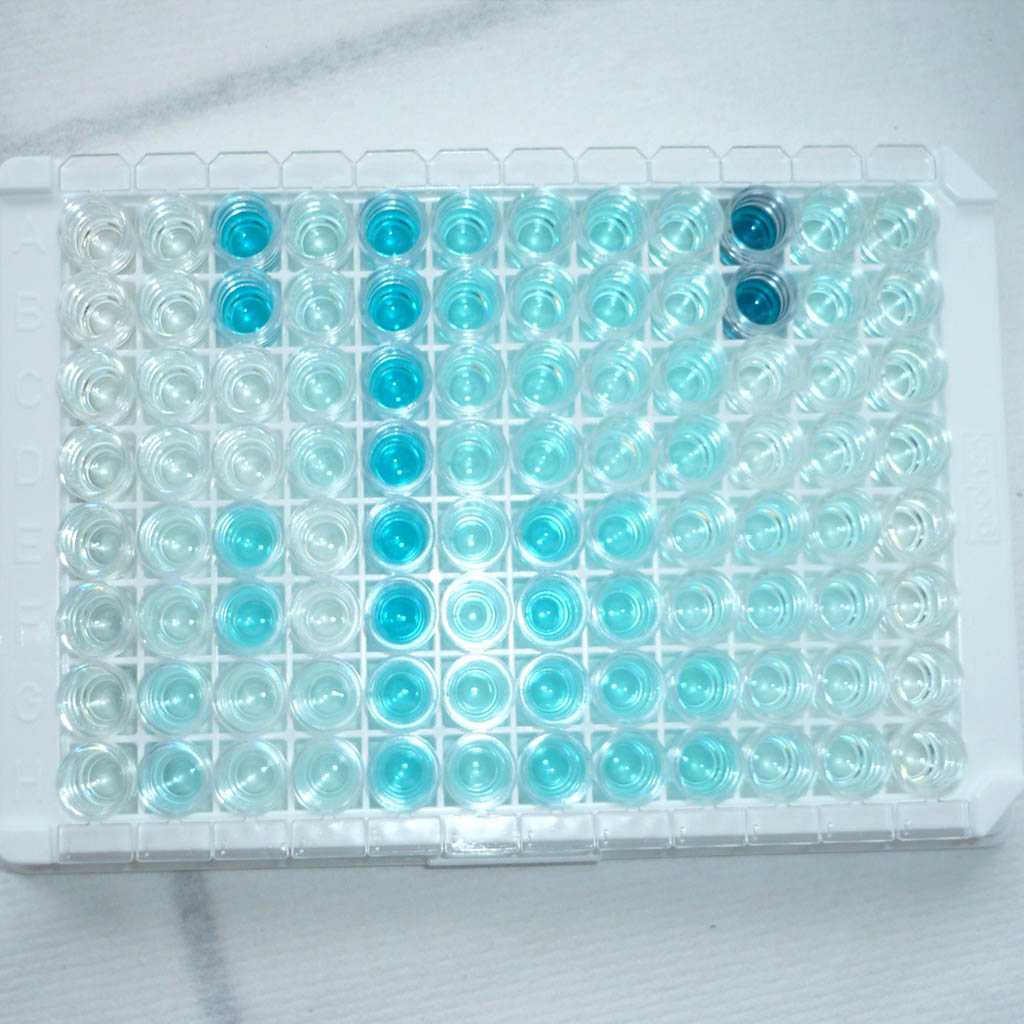 Endocrinologie Azurvet-Lab