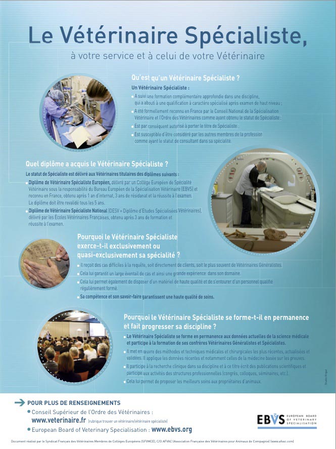 Poster Vétérinaire Spécialiste